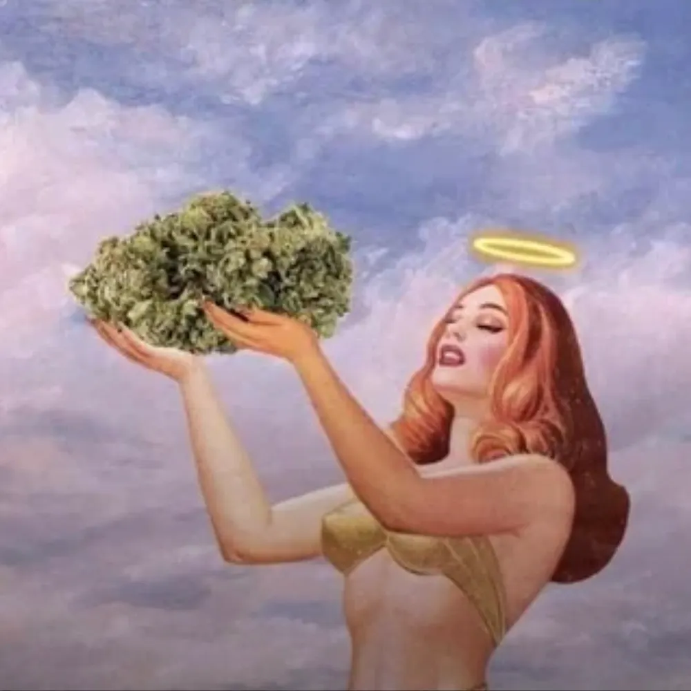 boodreaux.bsky.social's profile picture