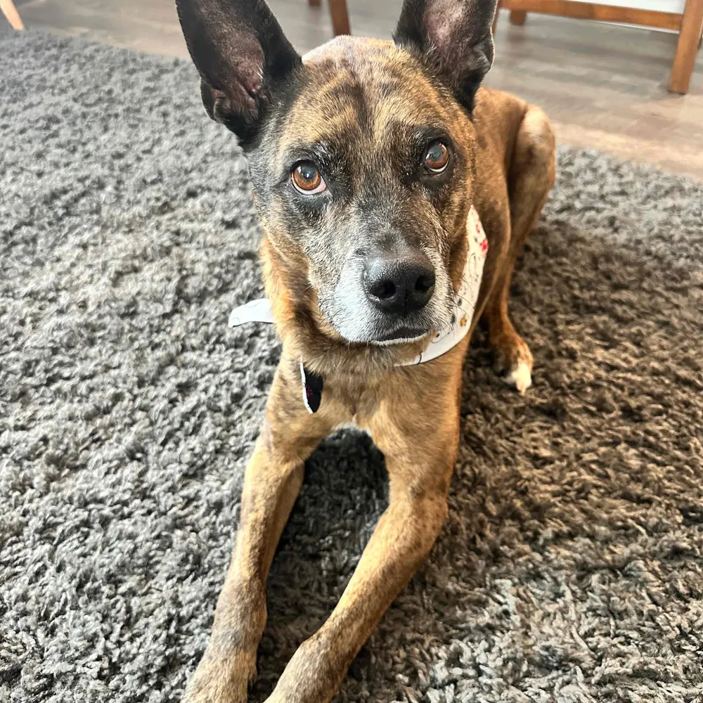 kaisersbiggestfans.bsky.social's profile picture