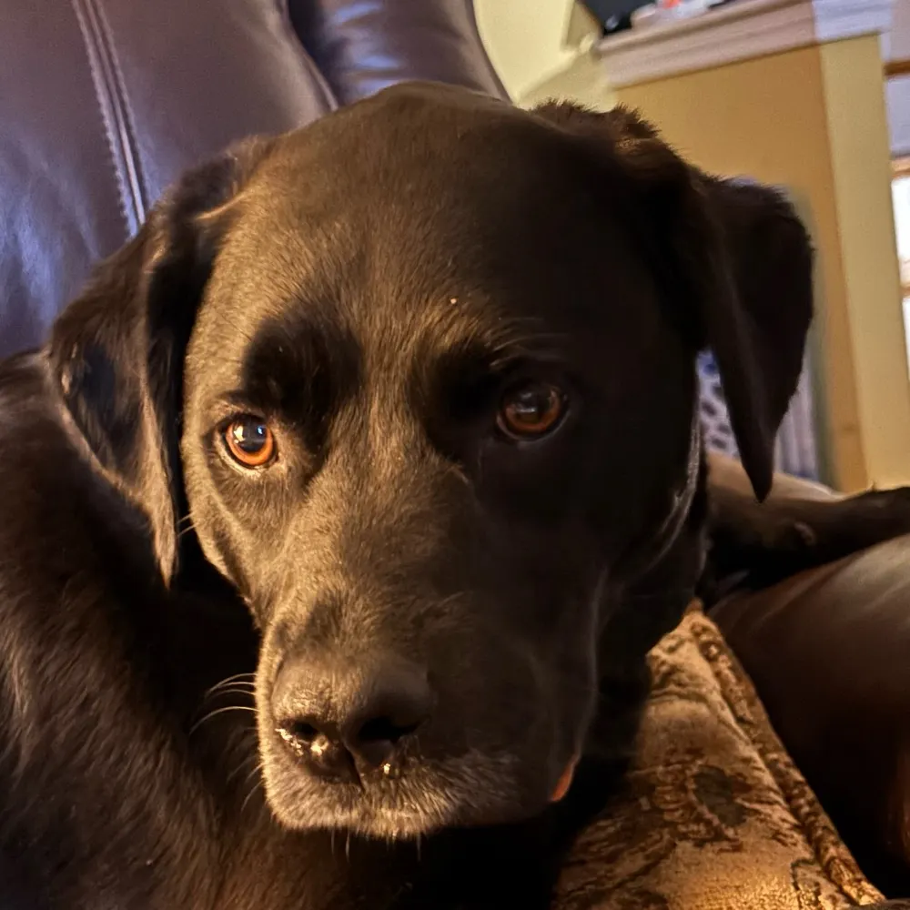 juliequinn68.bsky.social's profile picture