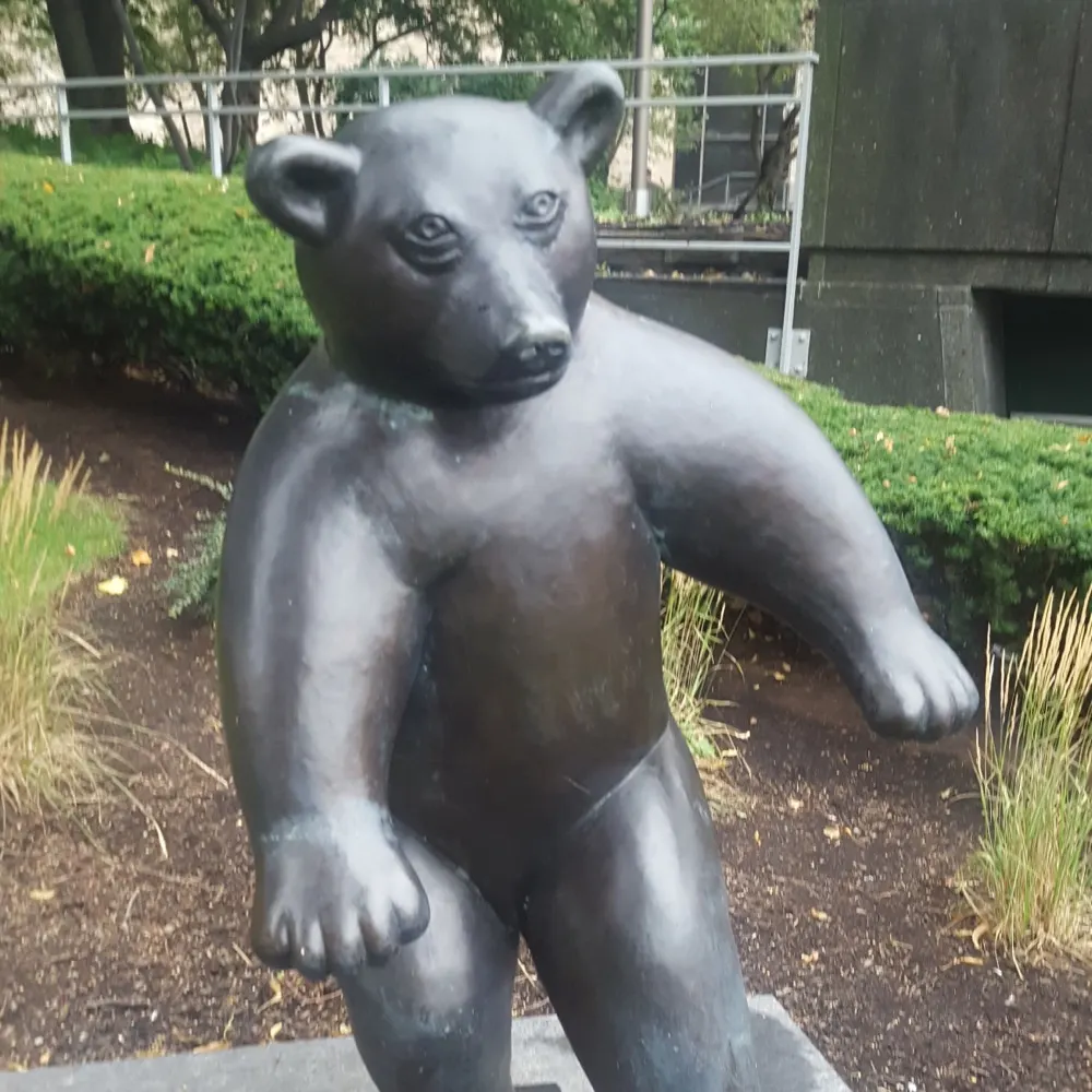 stucowan.bsky.social's profile picture