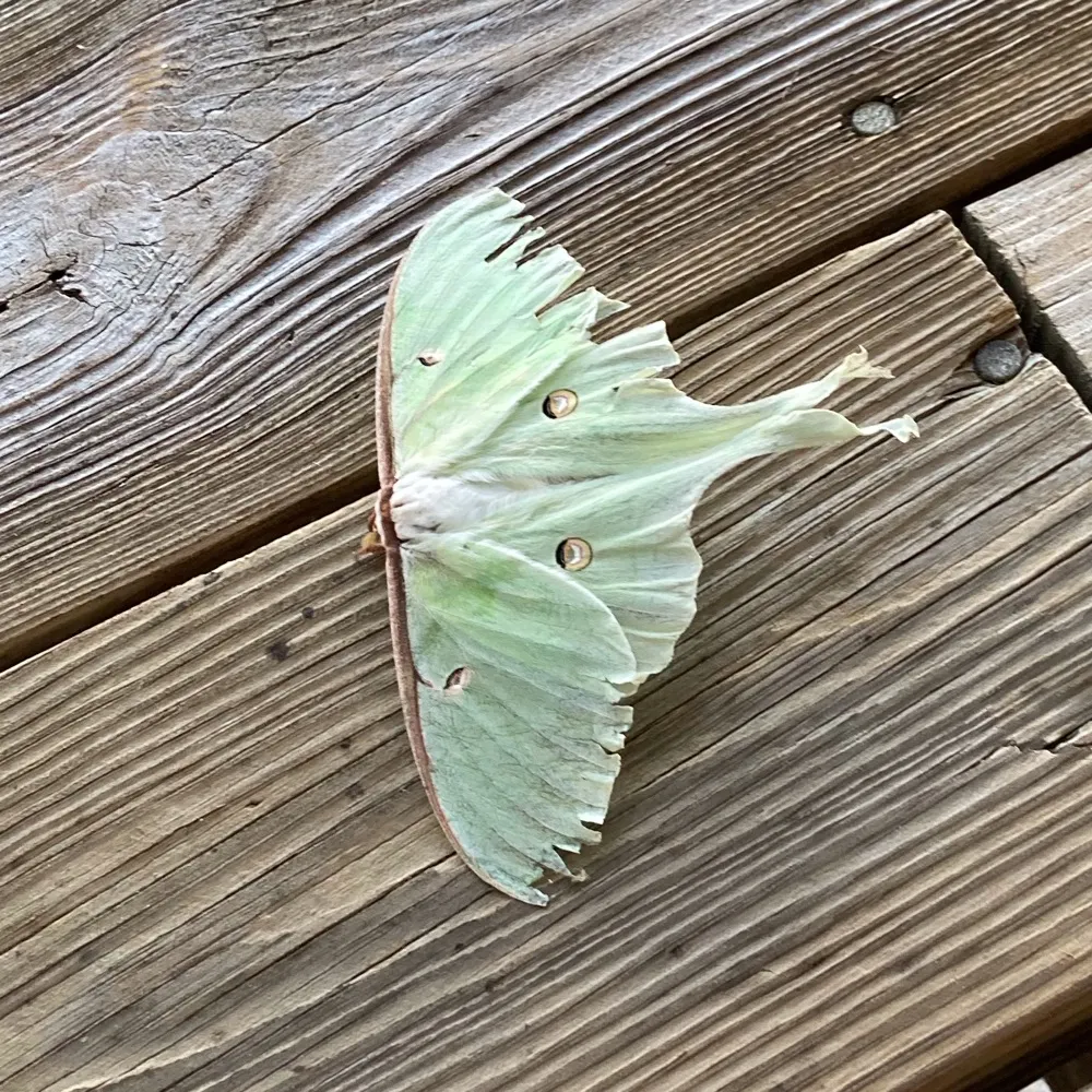 ekbhome.bsky.social's profile picture