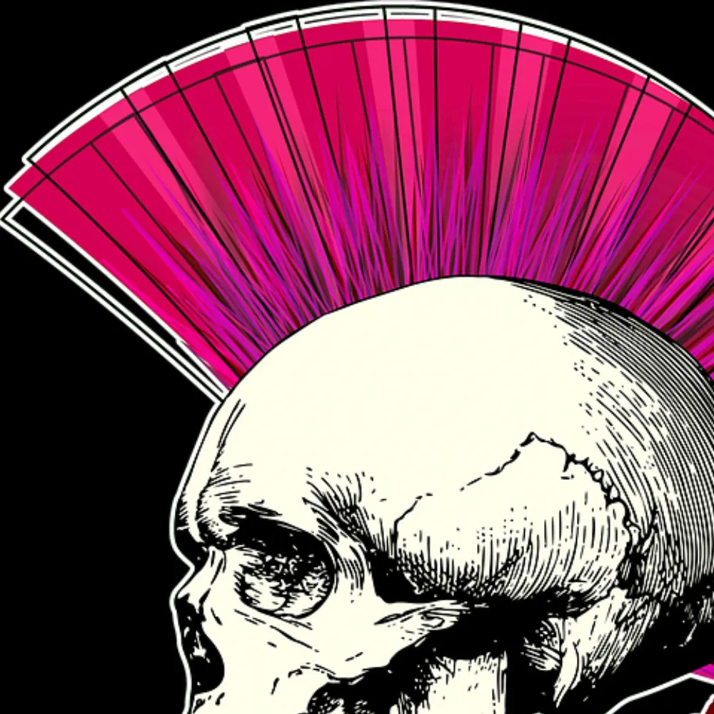 rankinn.bsky.social's profile picture