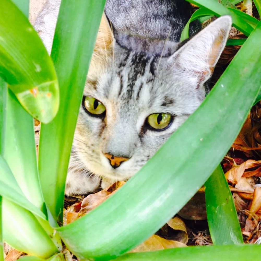 abbye123.bsky.social's profile picture