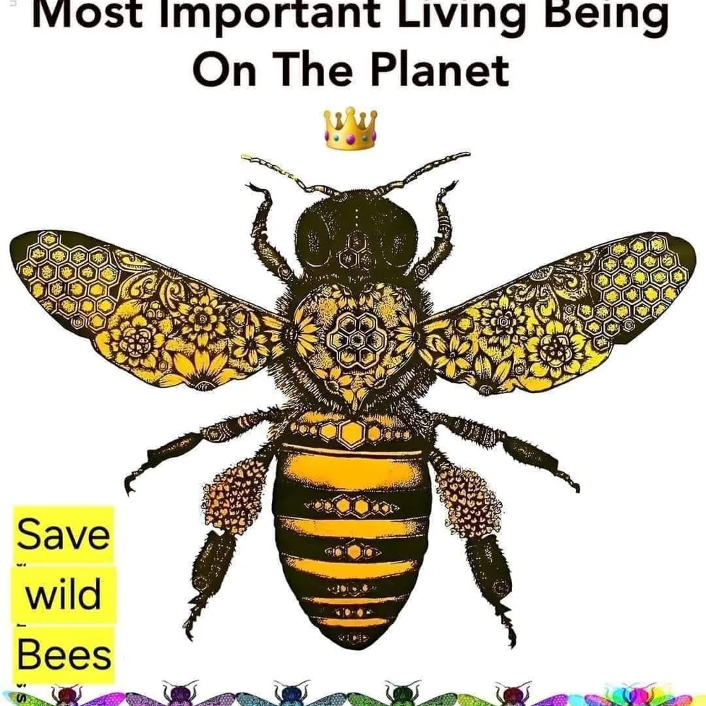 bittiegirldonna.bsky.social's profile picture