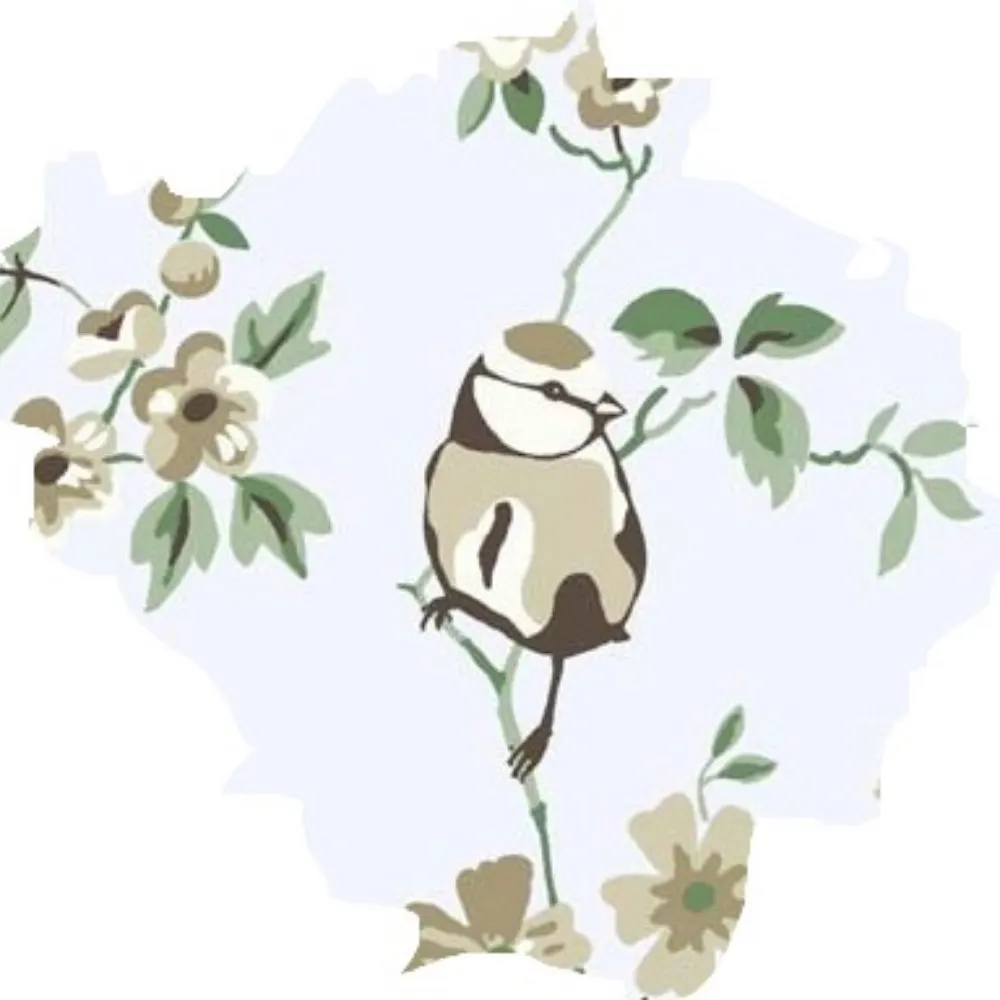 tapetenvogel.bsky.social's profile picture