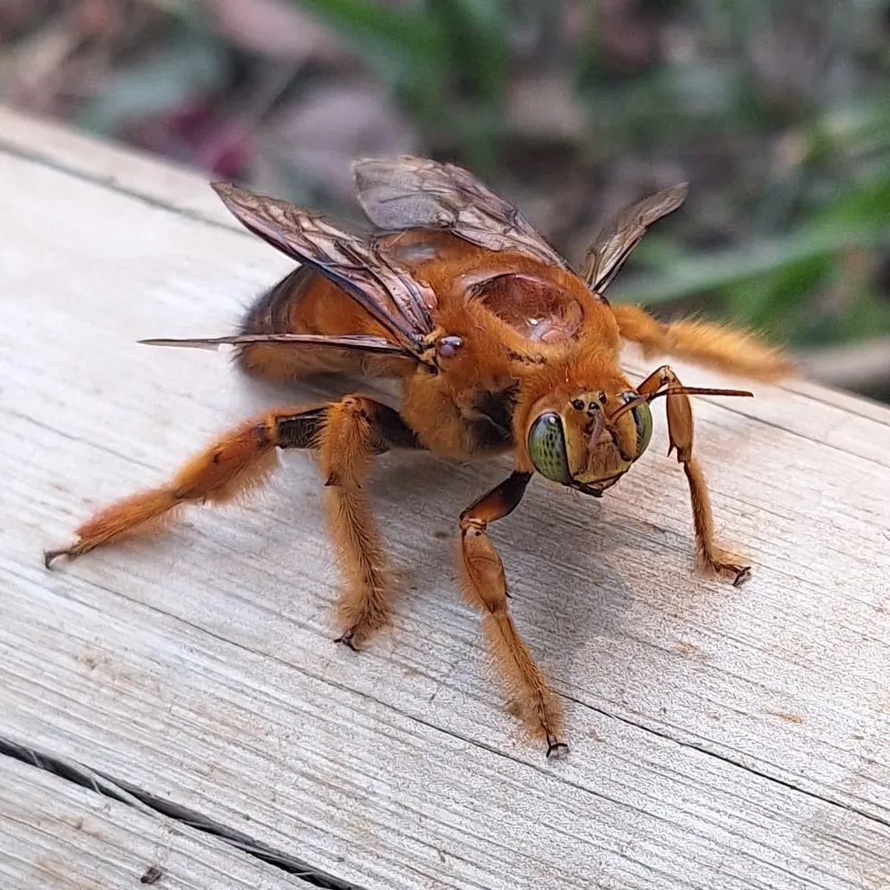 doripessoa.bsky.social's profile picture