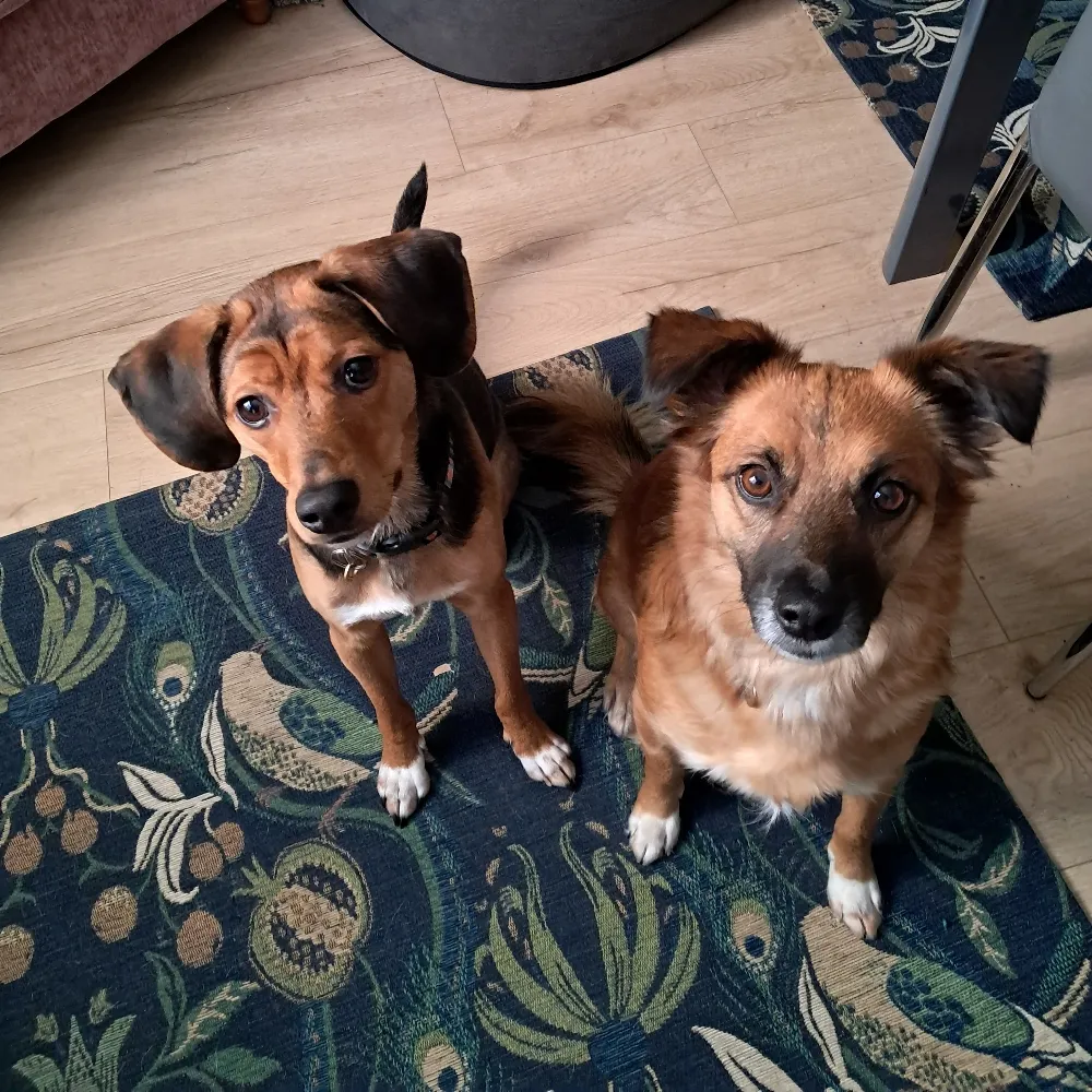 pipfisher.bsky.social's profile picture