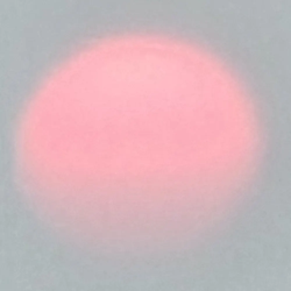 rbw.bsky.social's profile picture