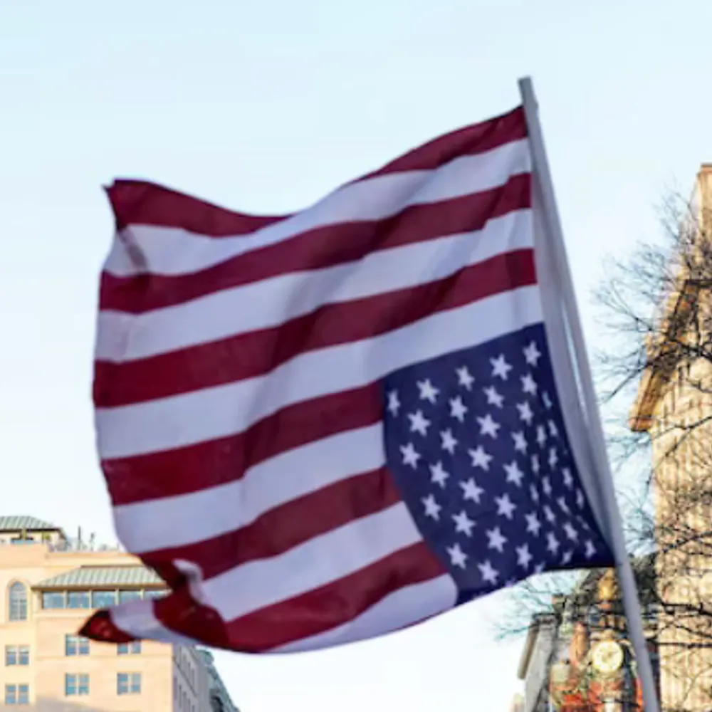 cats-wink.bsky.social's profile picture