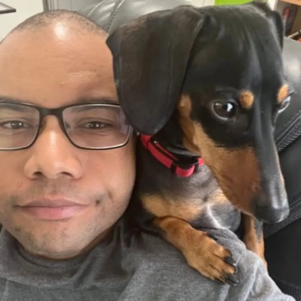 owillis.bsky.social's profile picture