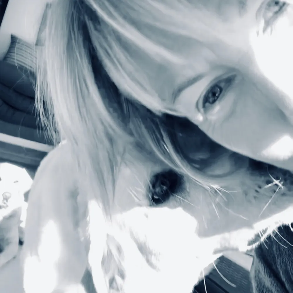 katsikajules.bsky.social's profile picture