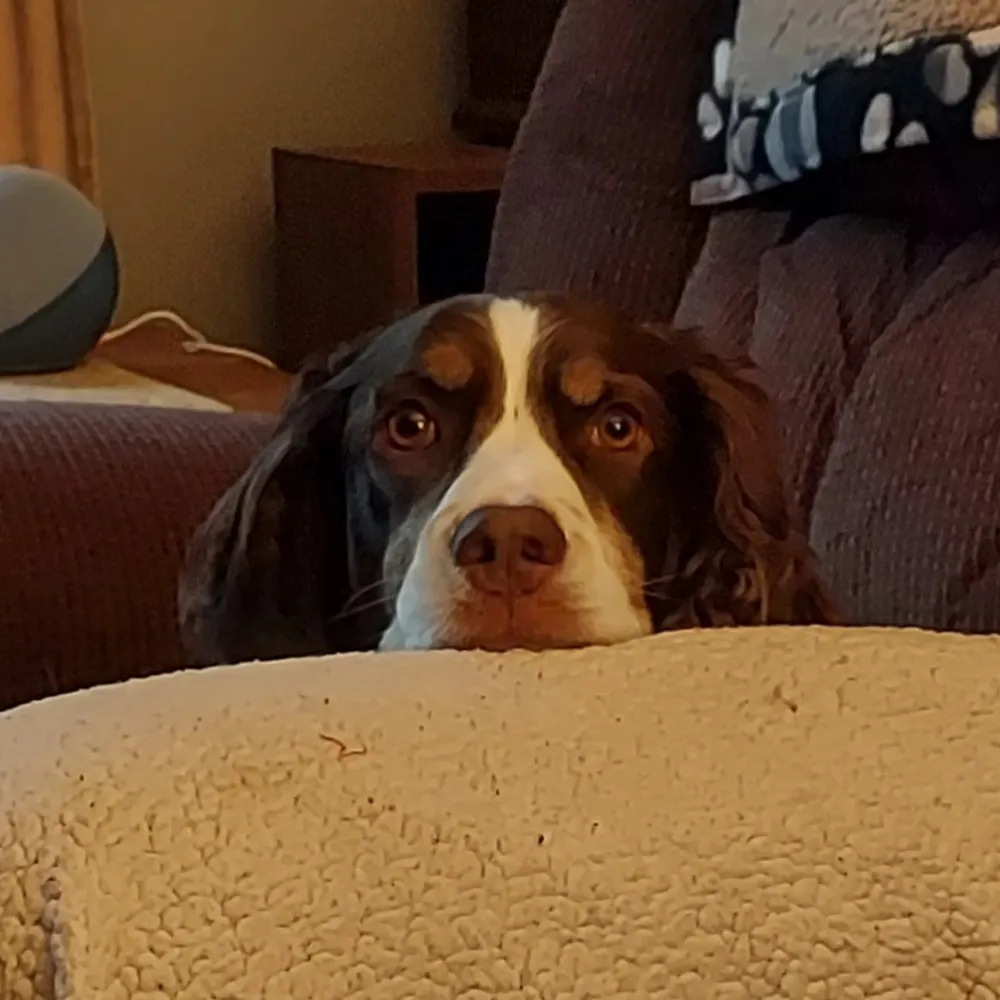 sandiwi.bsky.social's profile picture