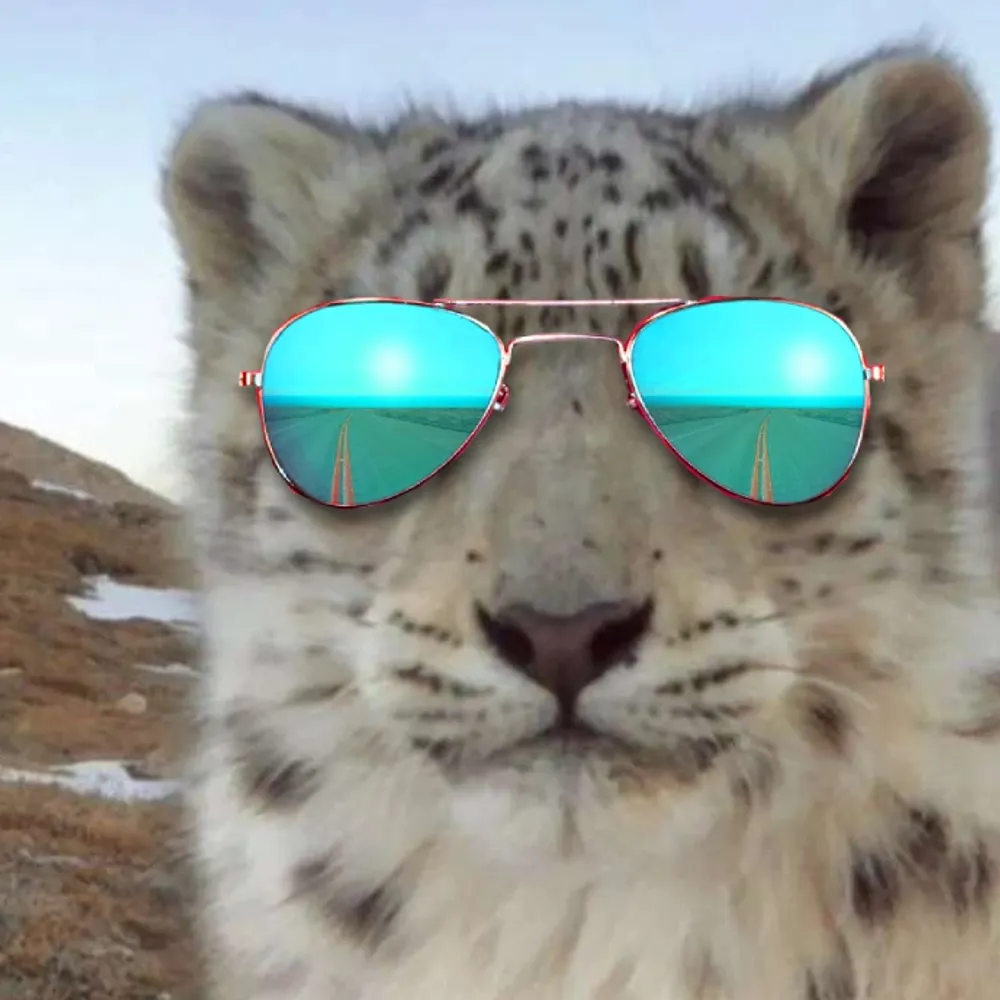 sneptech.bsky.social's profile picture