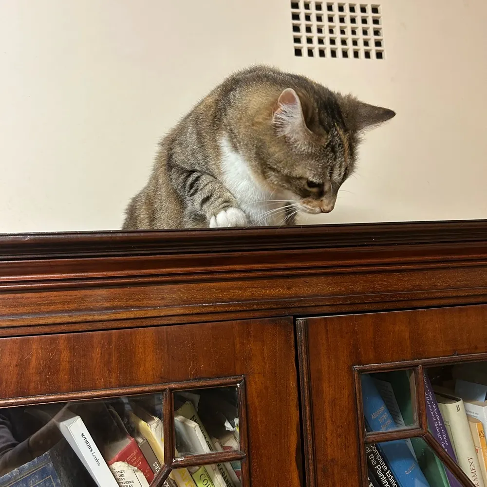 rosalindjh.bsky.social's profile picture