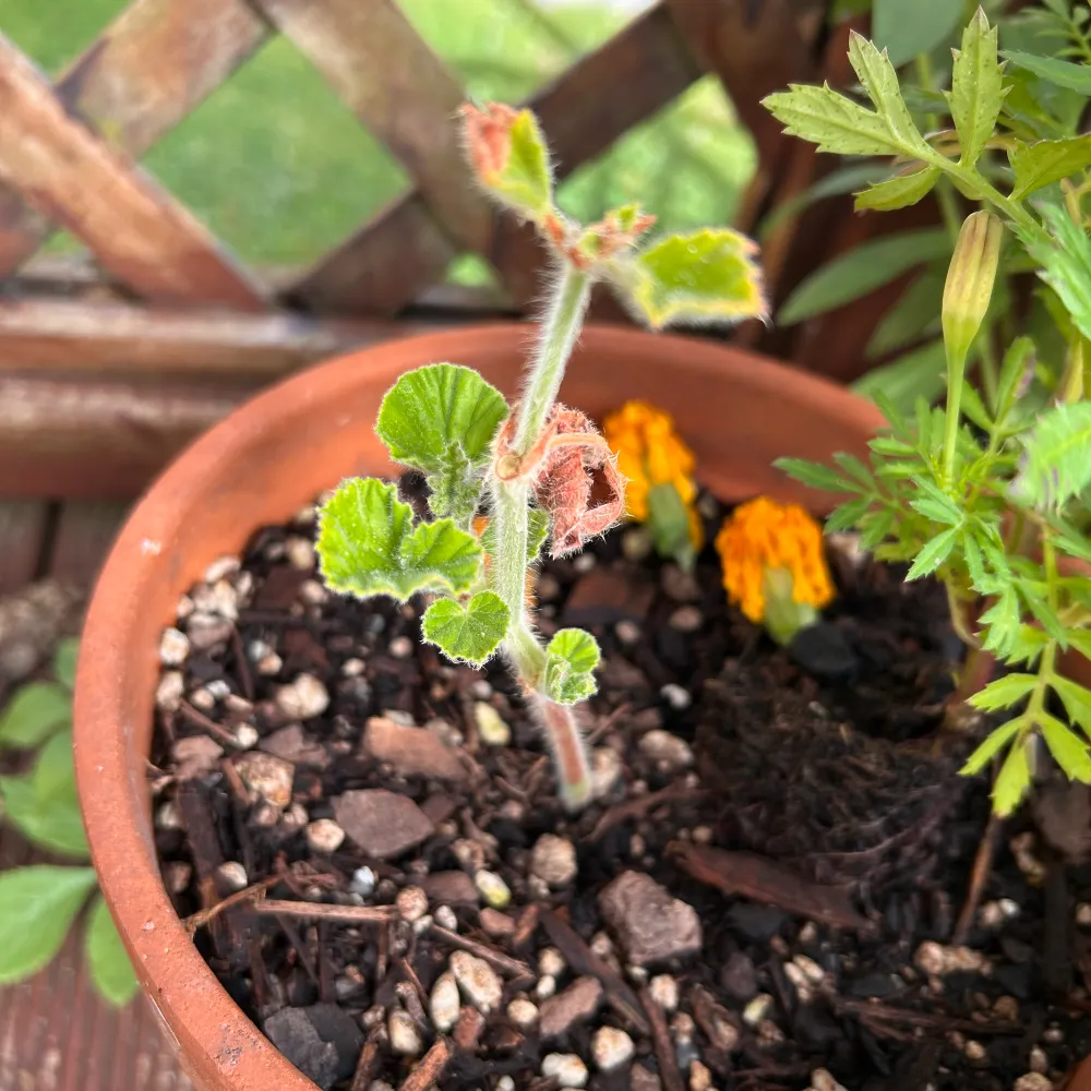 kiwinomad06.bsky.social's profile picture