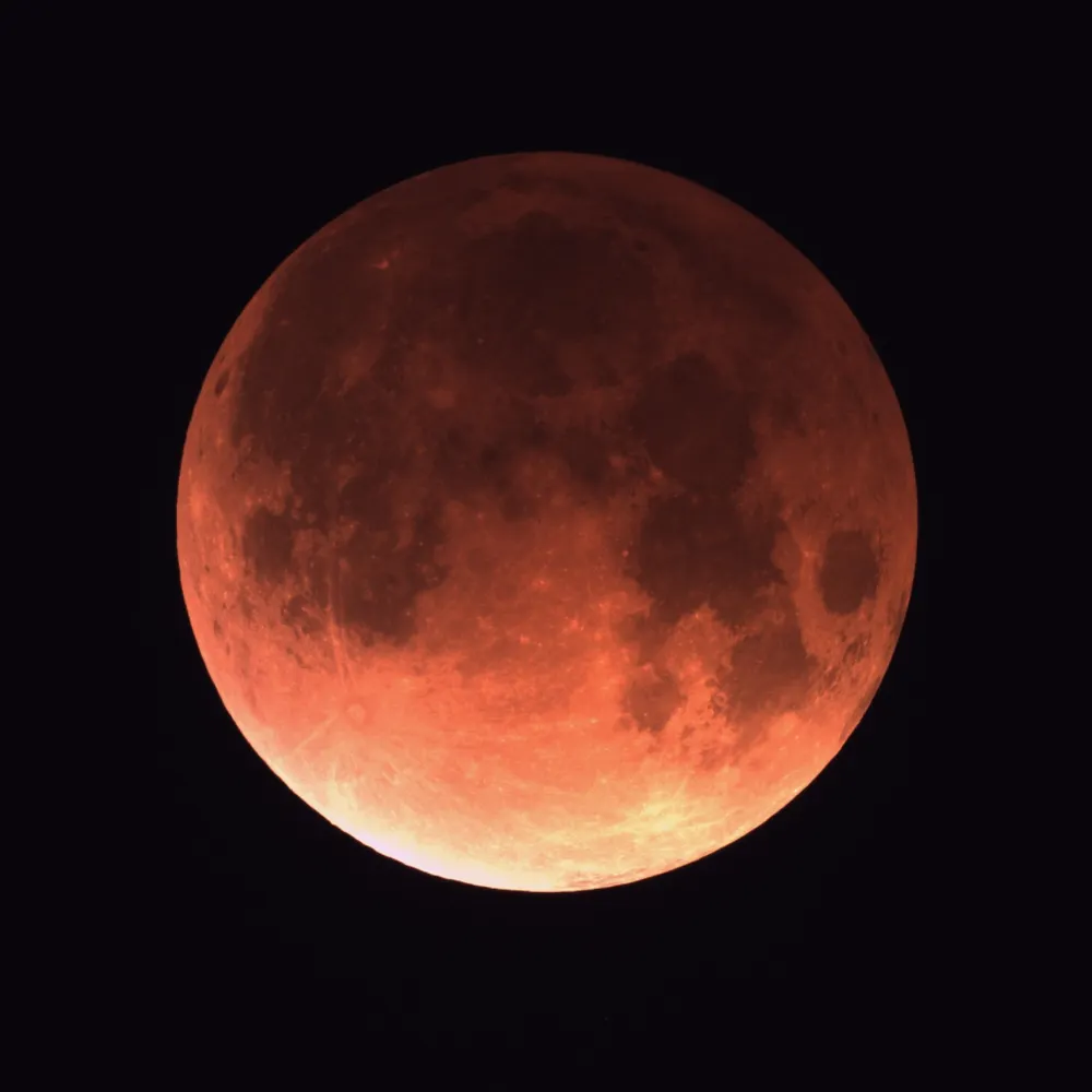 dennisisok.bsky.social's profile picture