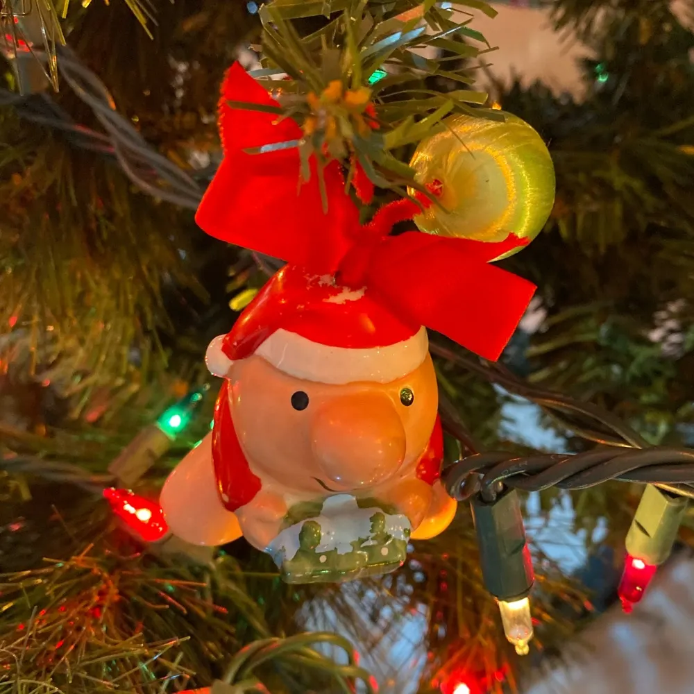 azgecko.bsky.social's profile picture