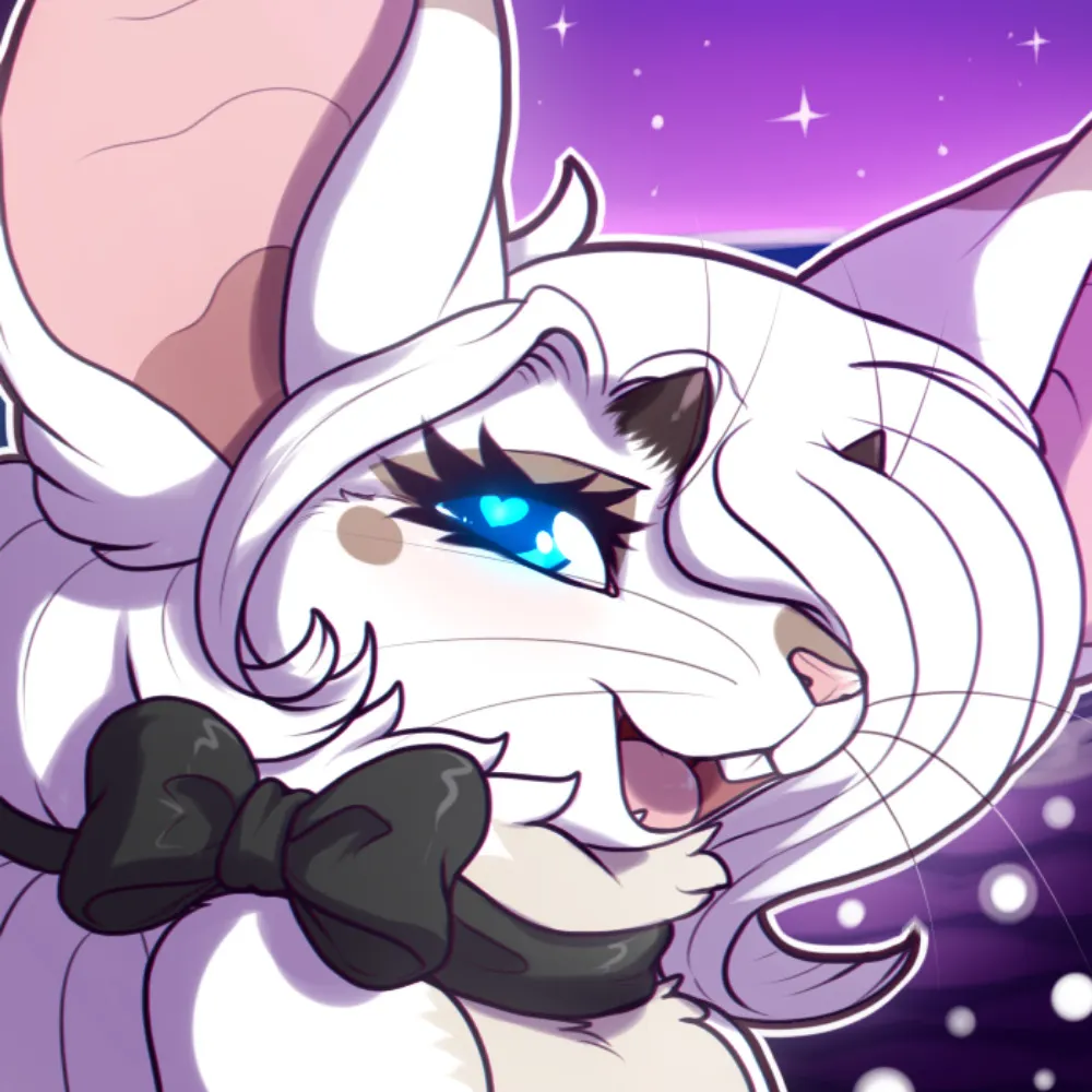 shikka.bsky.social's profile picture