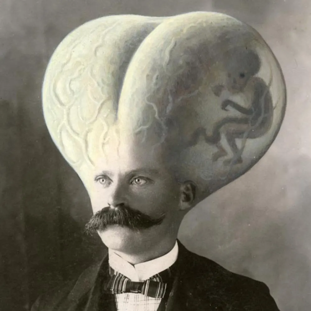 snowintheair.bsky.social's profile picture