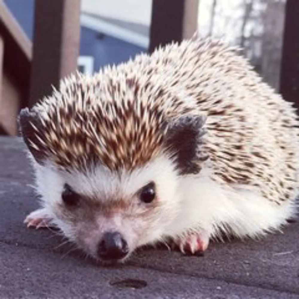 mterburg.bsky.social's profile picture