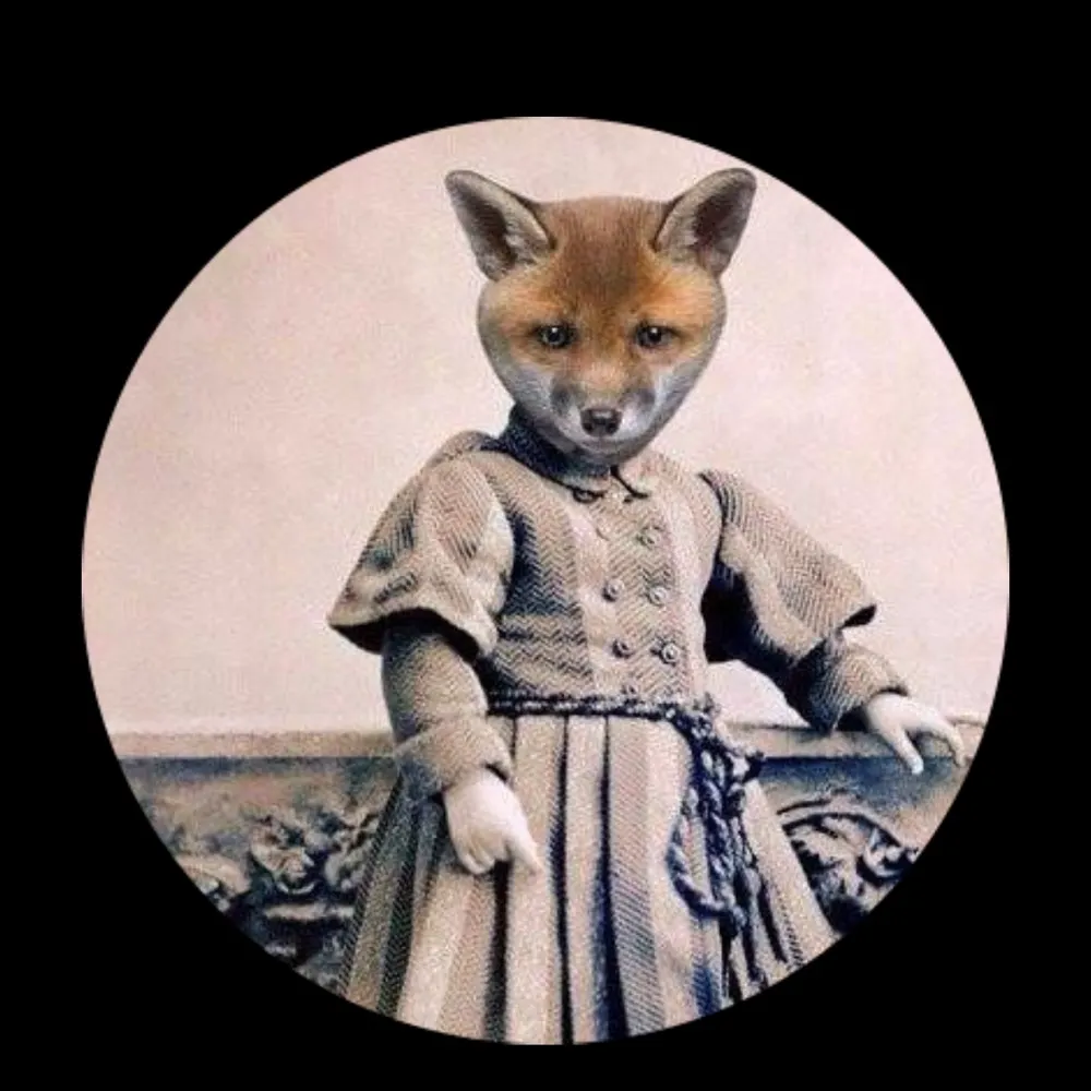 refoxing.bsky.social's profile picture