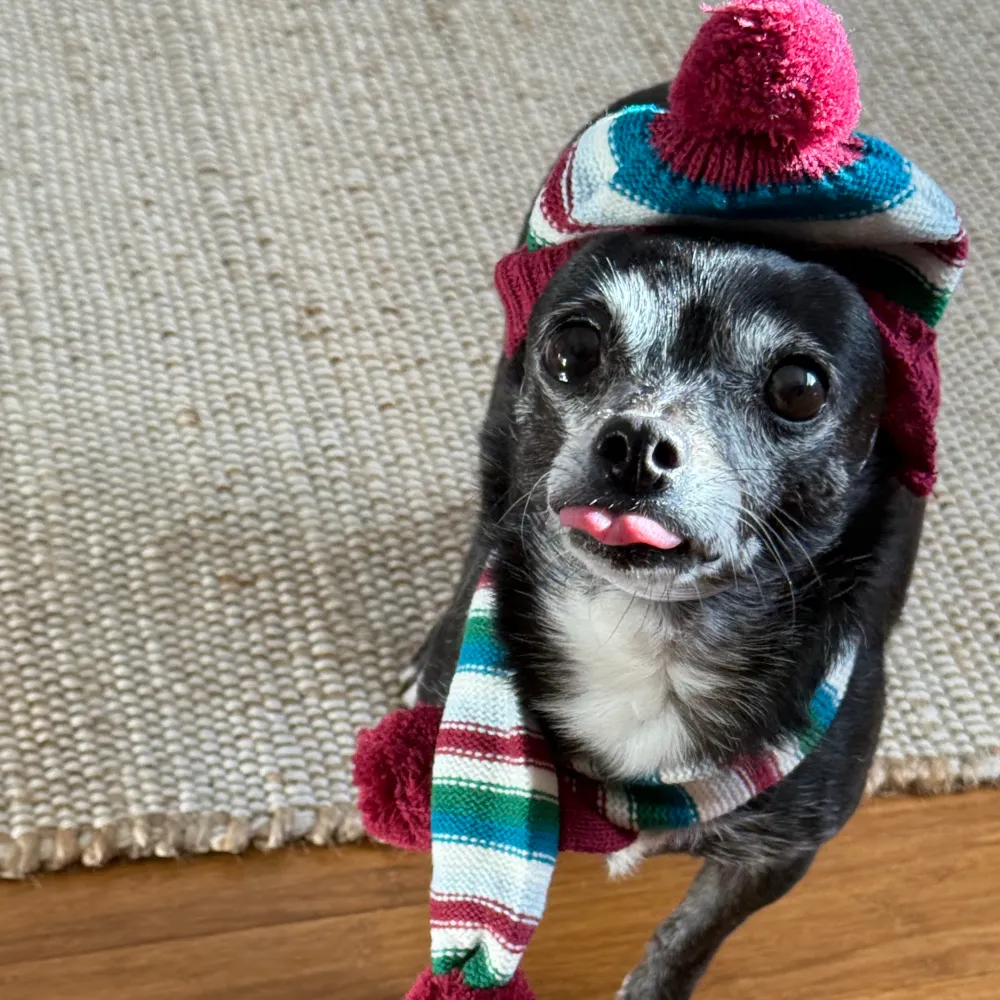 matthew43.bsky.social's profile picture