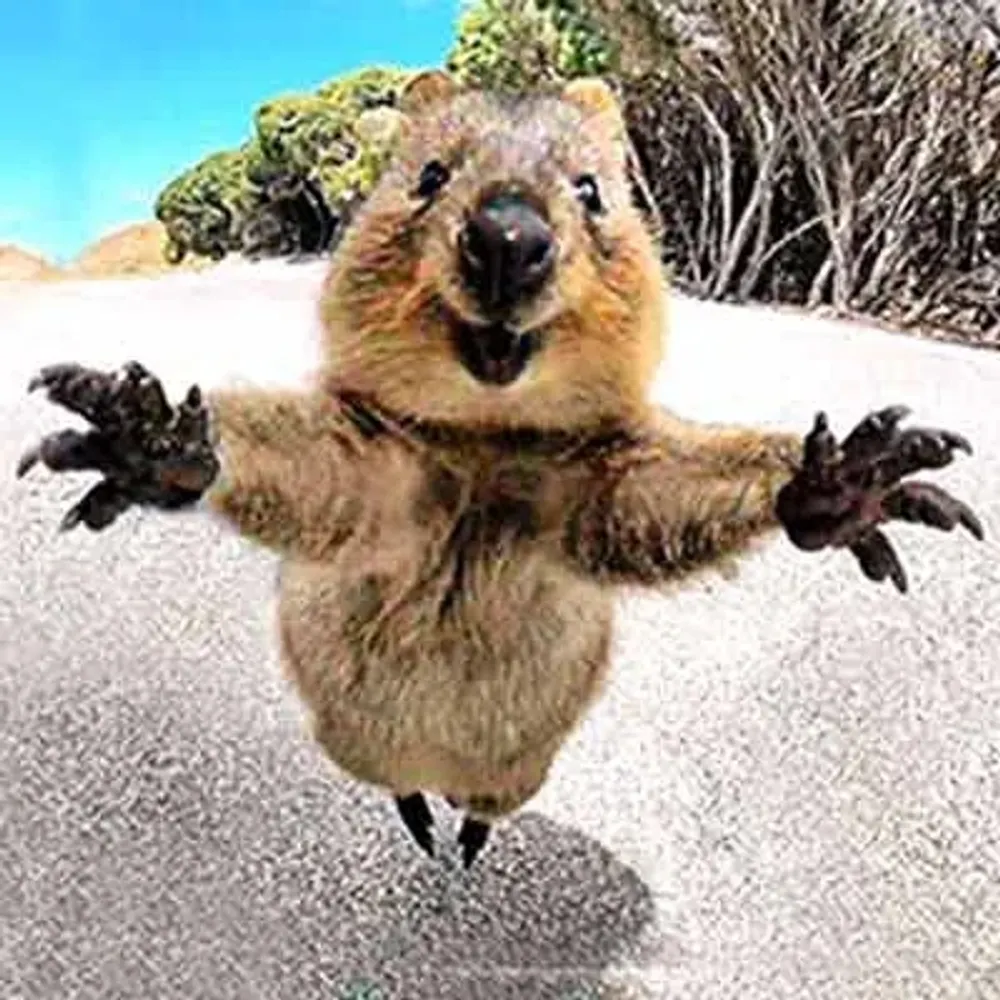 credacreda.bsky.social's profile picture