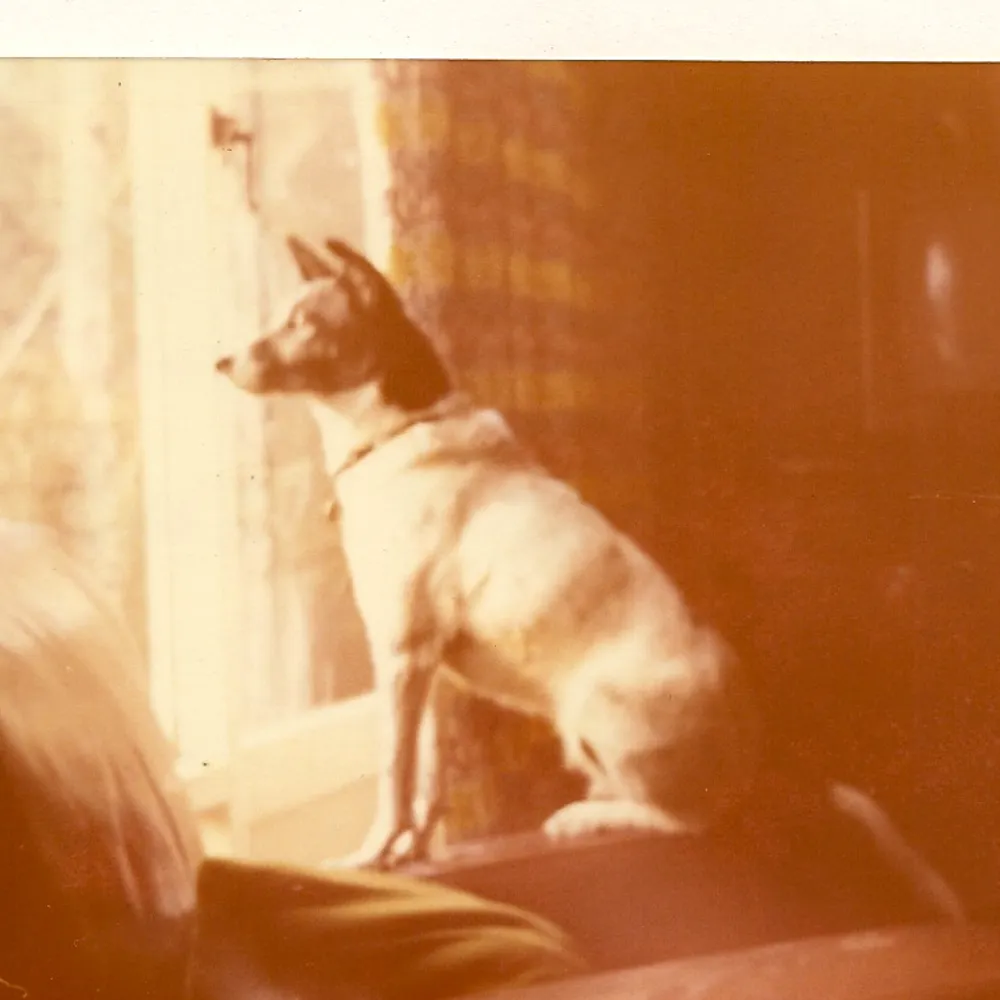 gregorypeccory.bsky.social's profile picture