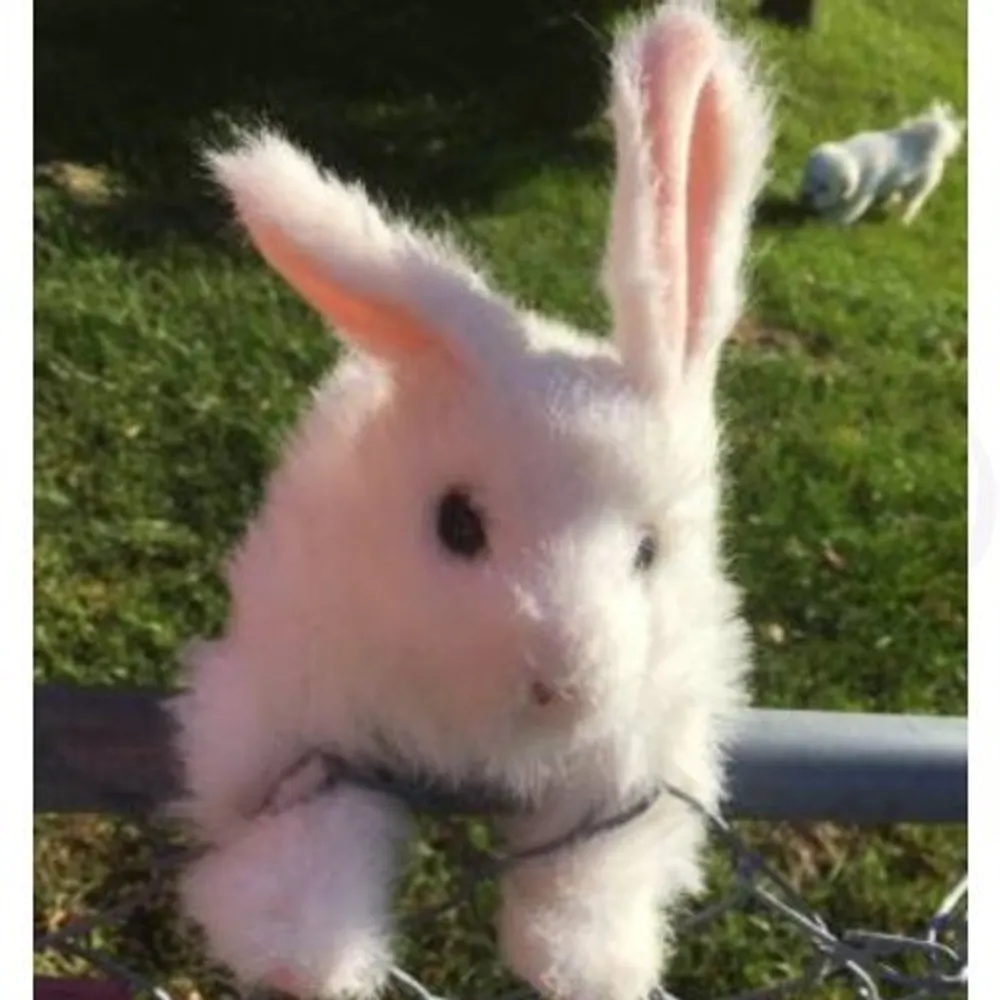 axeeugene.bsky.social's profile picture