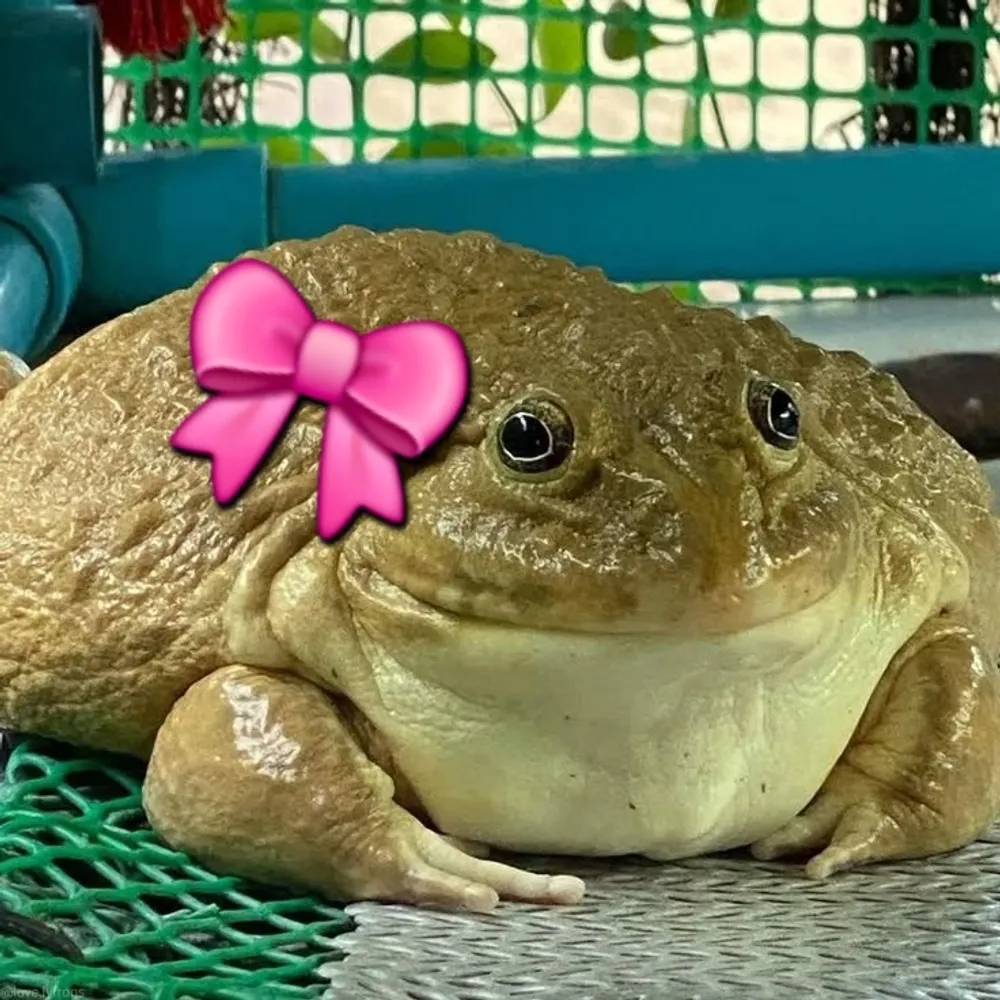 insatiaghoul.bsky.social's profile picture