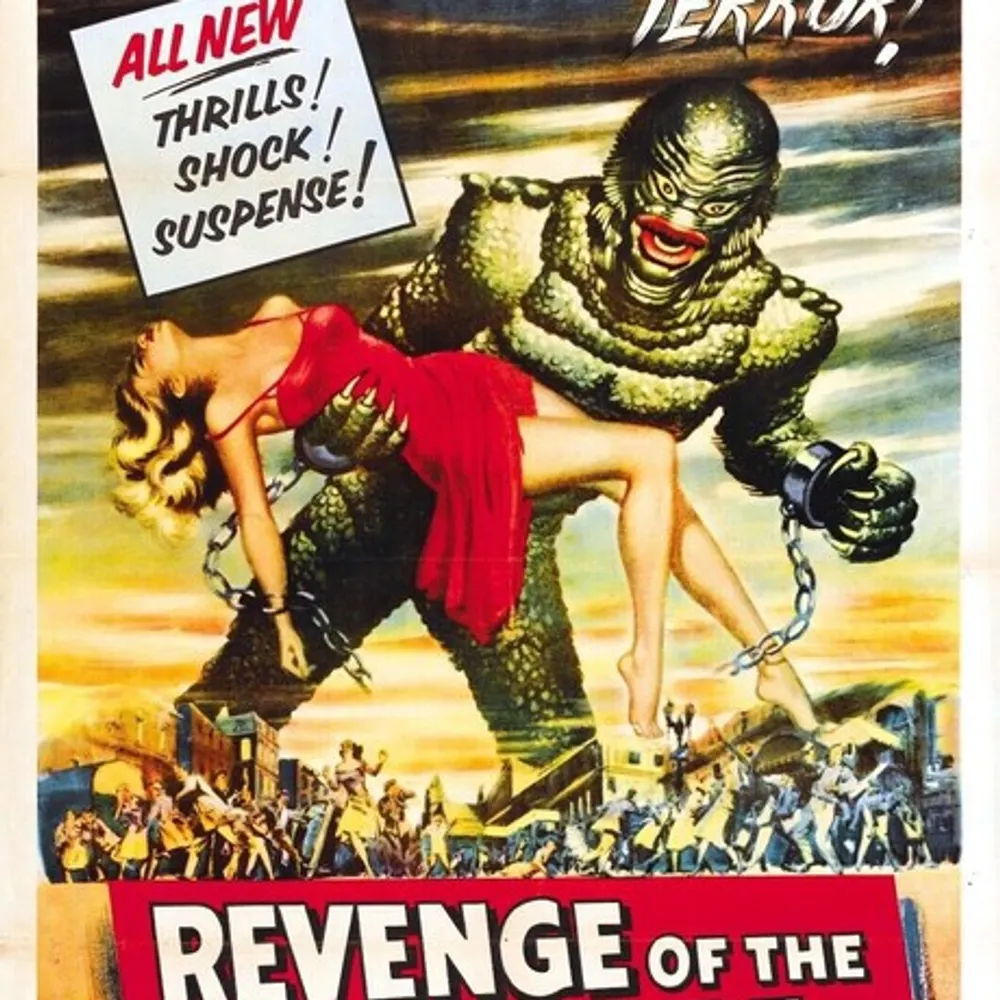 staryfinch.bsky.social's profile picture