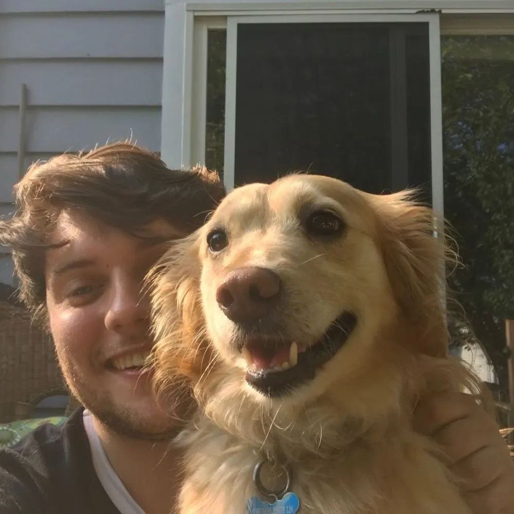 fumblebee.bsky.social's profile picture