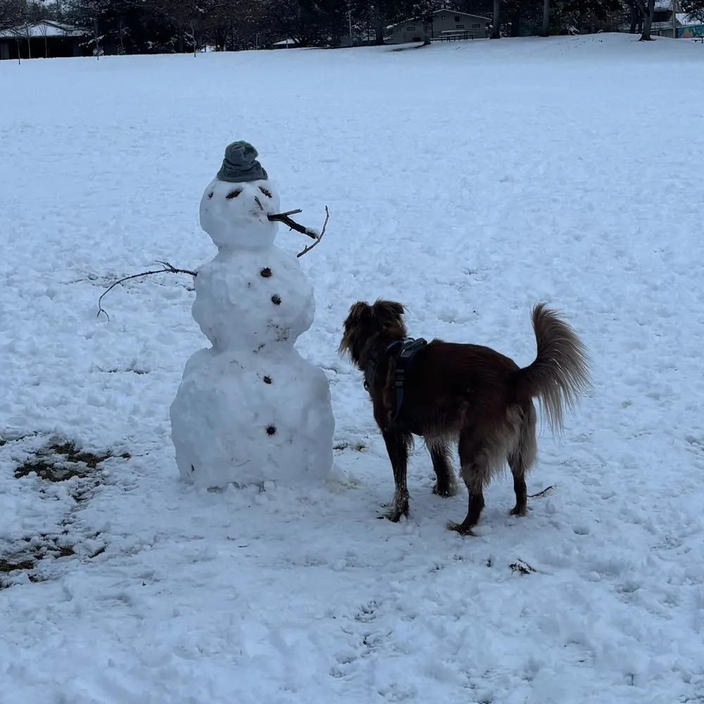 itp7.bsky.social's profile picture