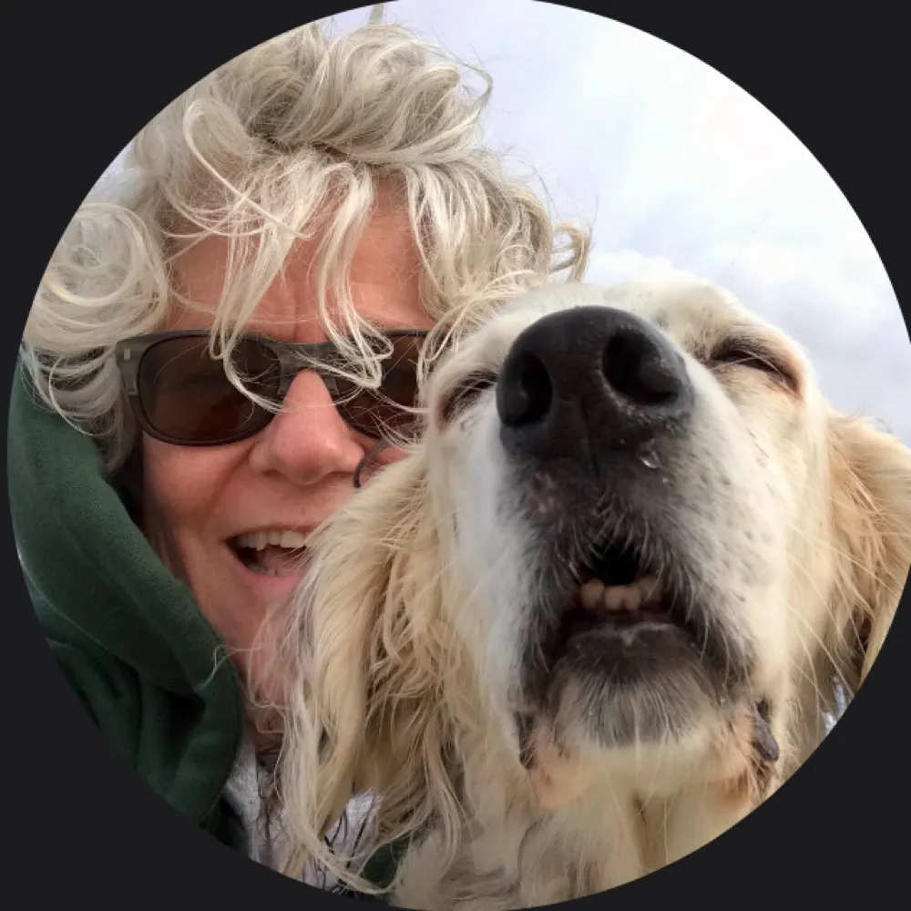 lara3000.bsky.social's profile picture