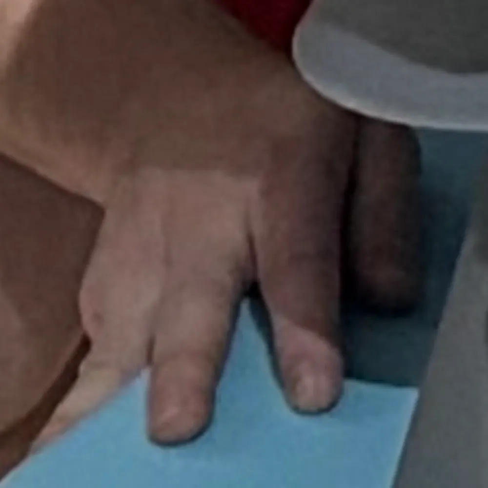 pighand.bsky.social's profile picture