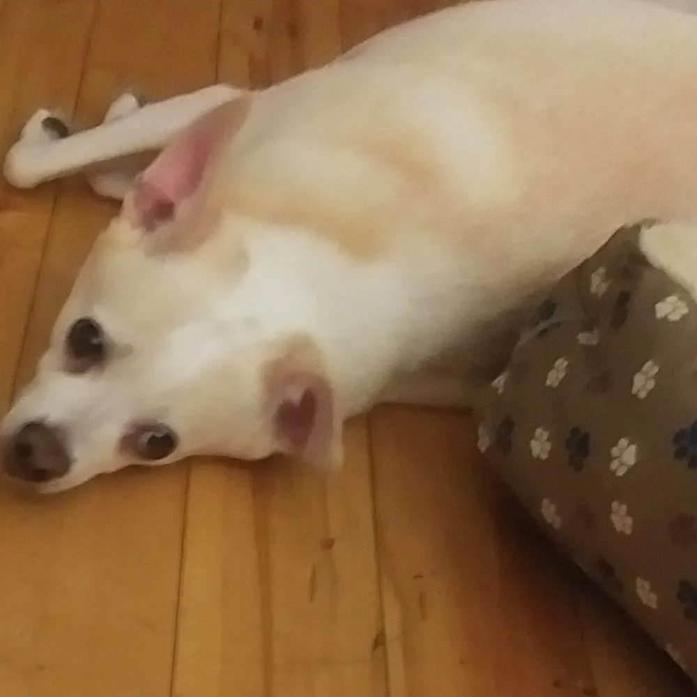 margo971.bsky.social's profile picture