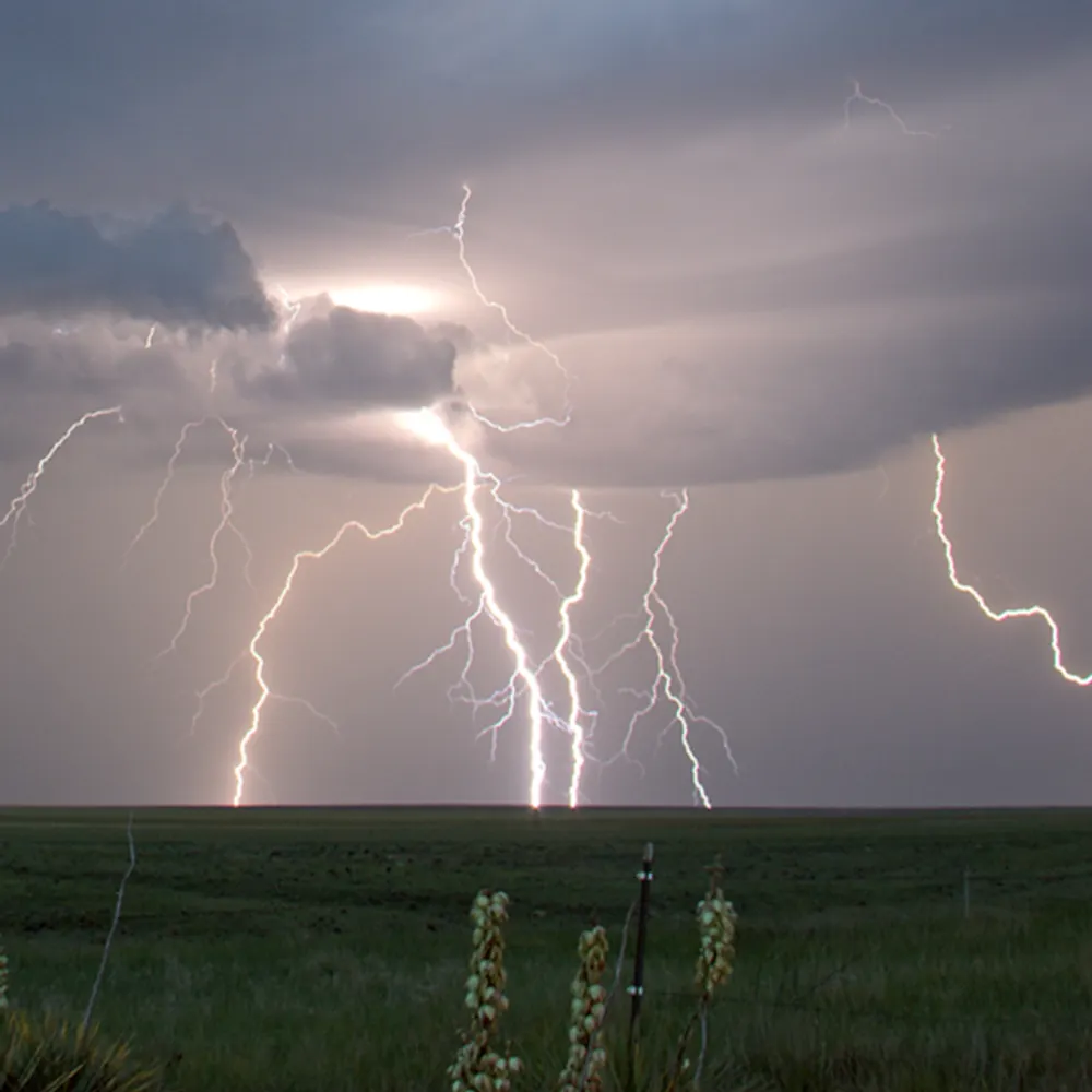 markellinwood.bsky.social's profile picture