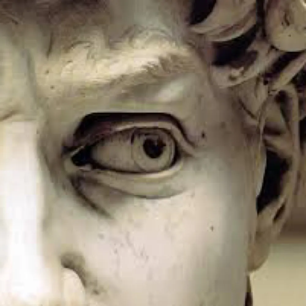 davidandgoliath23.bsky.social's profile picture