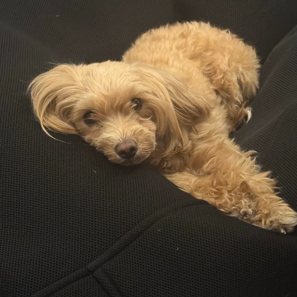 nzustaendig.bsky.social's profile picture