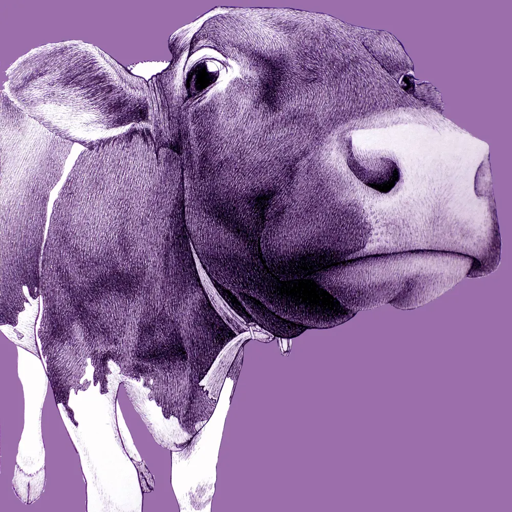 lozaloom.bsky.social's profile picture