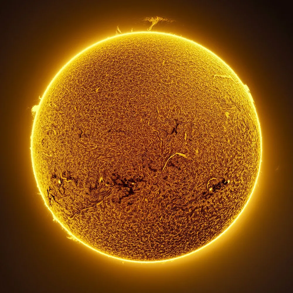 bouclier.bsky.social's profile picture