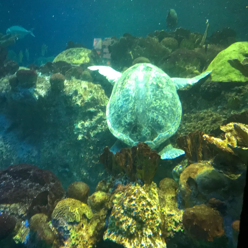 jjordan370.bsky.social's profile picture