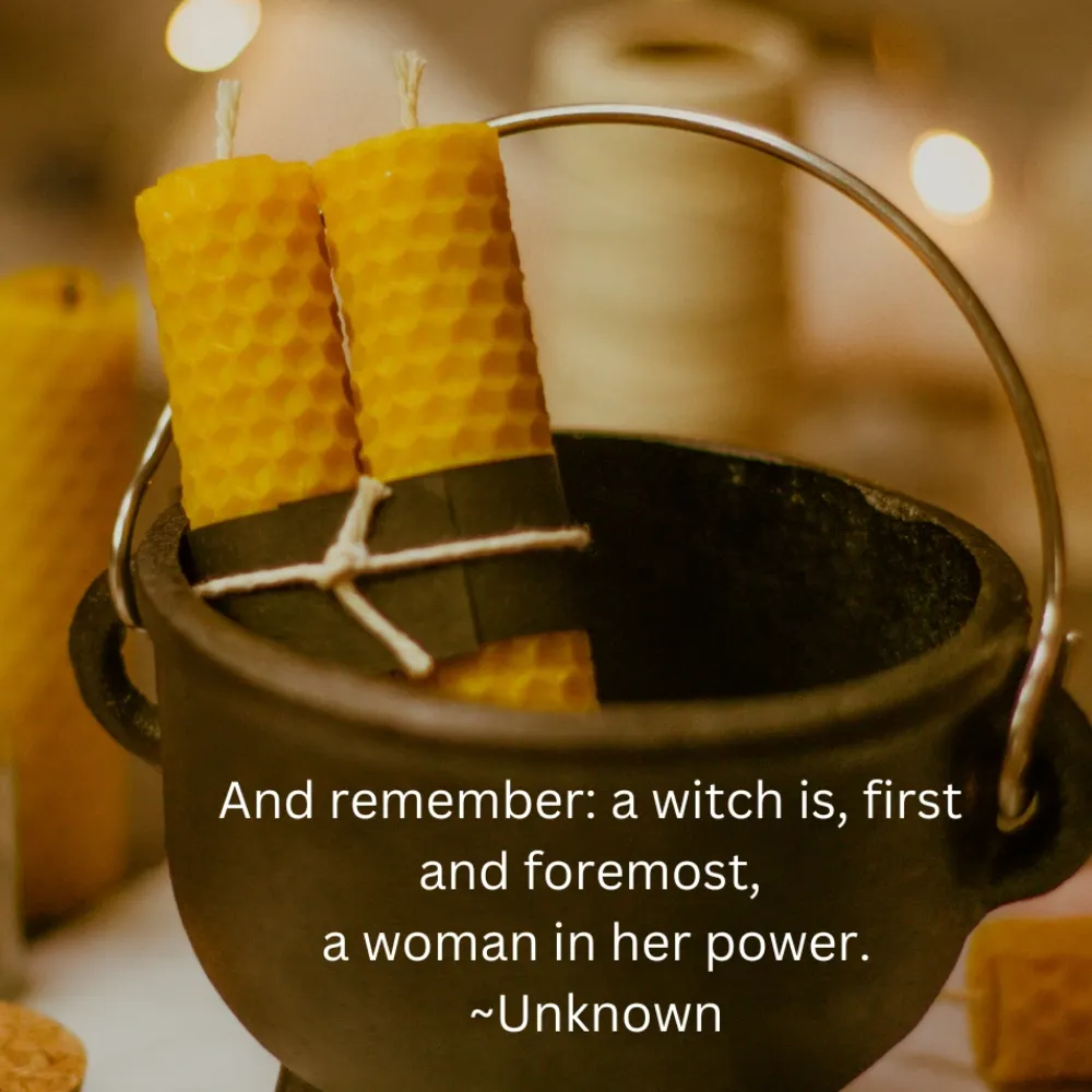 michellecg.bsky.social's profile picture