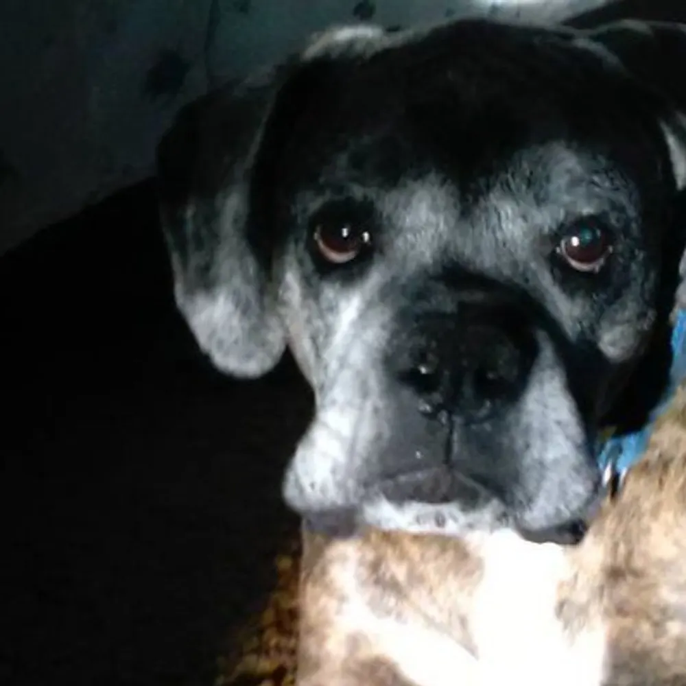 mn-froggie.bsky.social's profile picture