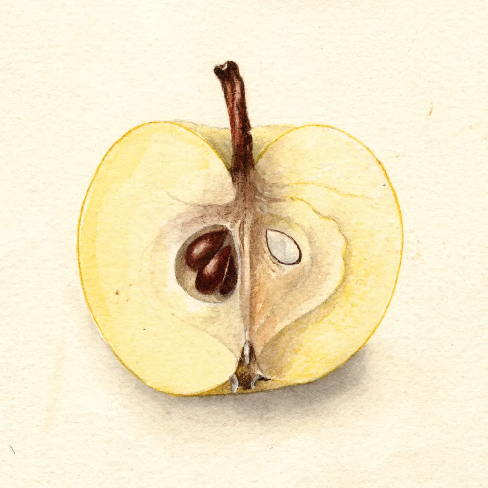 15c3po.bsky.social's profile picture