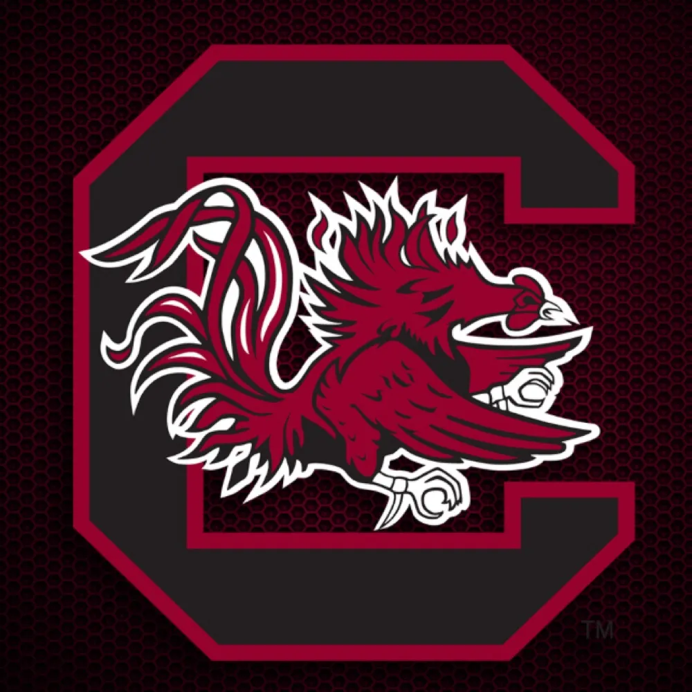 bigsteven.bsky.social's profile picture