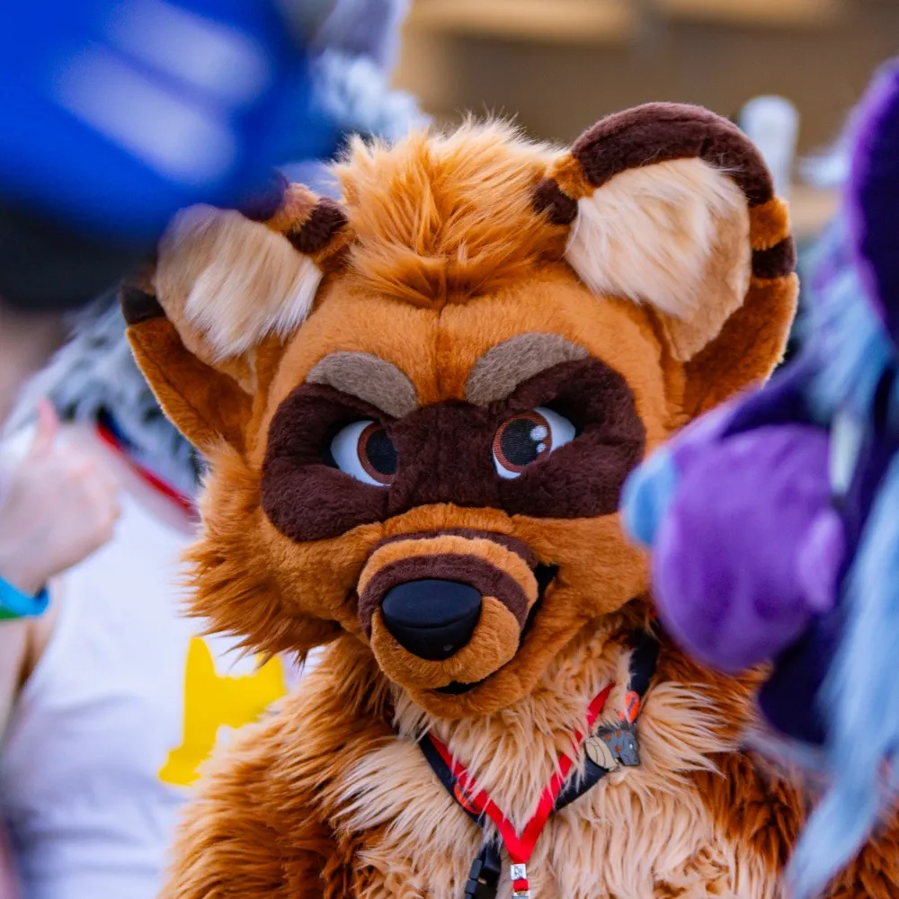 adtry.bsky.social's profile picture