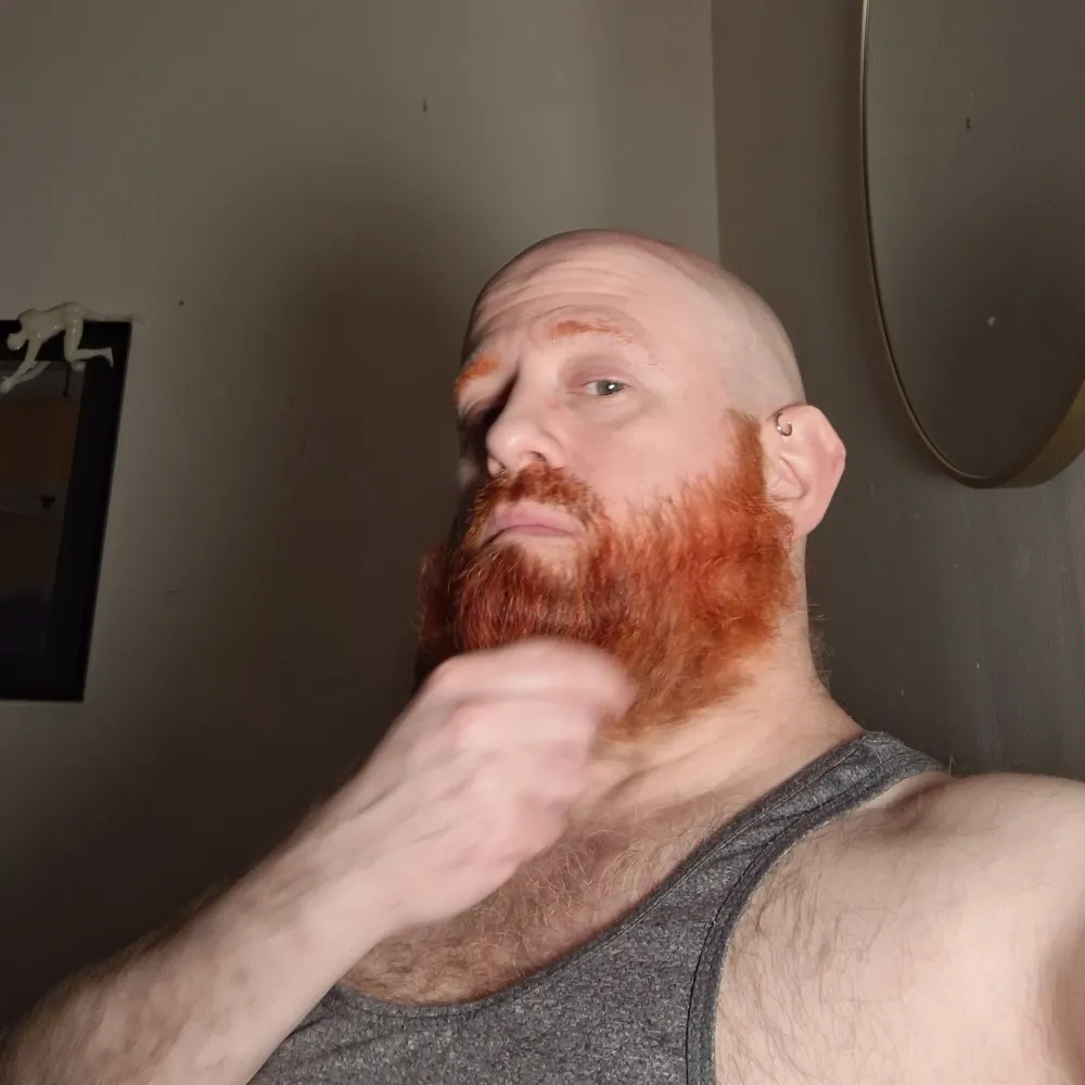 chip-block.bsky.social's profile picture