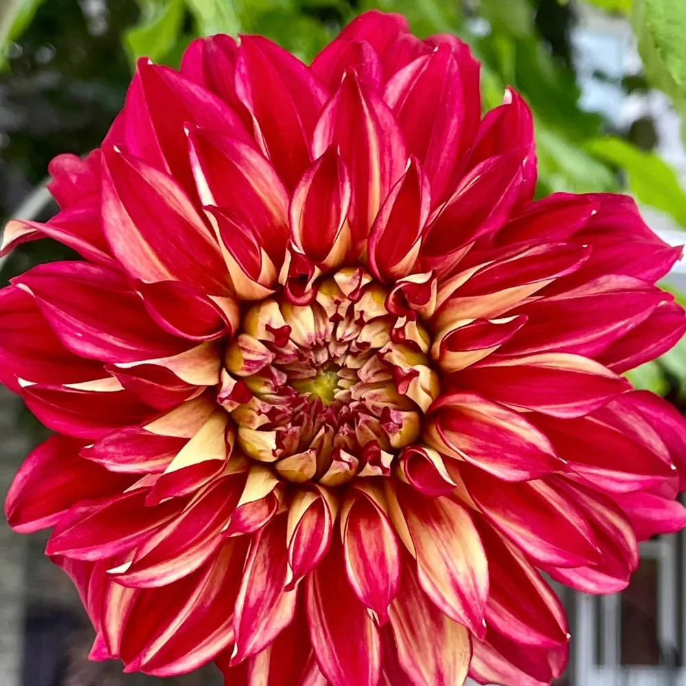 aldamar.bsky.social's profile picture