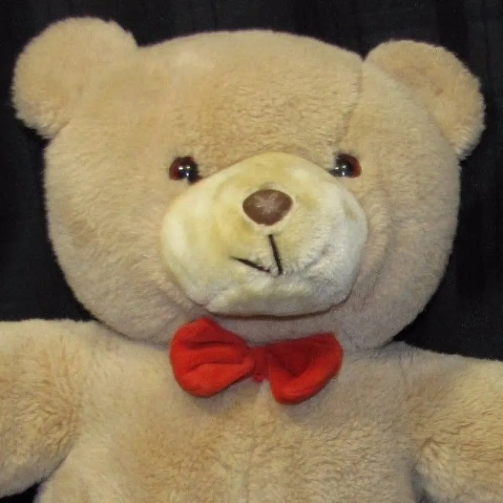 starpilot87.bsky.social's profile picture